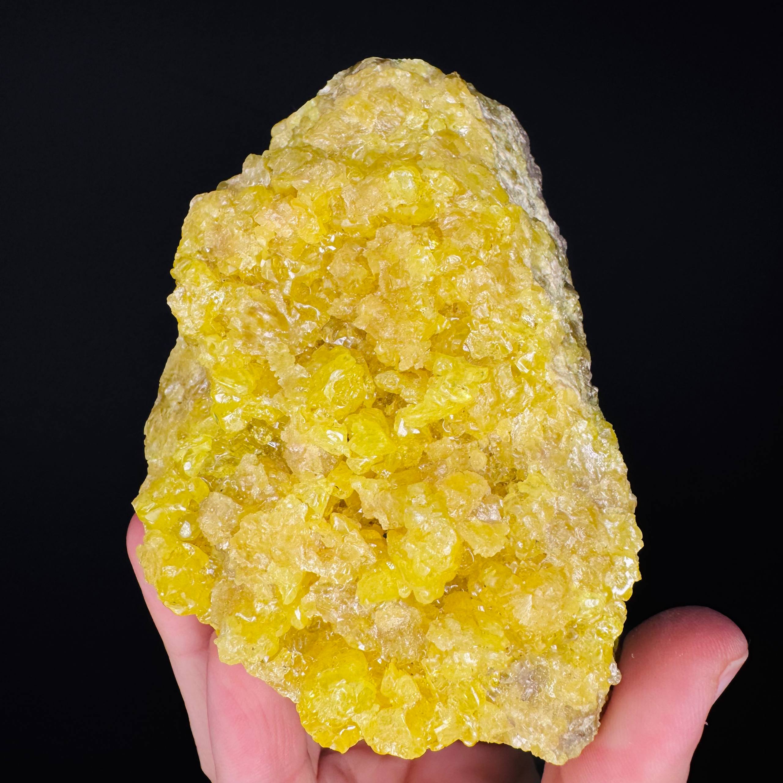 zolfo